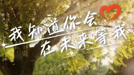 【国产剧】我知道你会在未来等我
