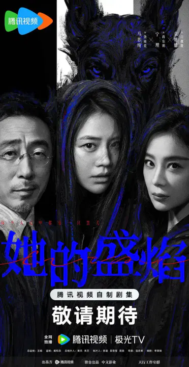 【国产剧】她的盛焰
